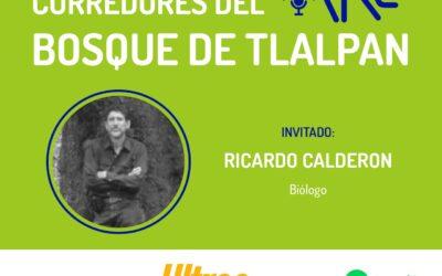 Corredores del Bosque de Tlalpan – Ricardo Calderón