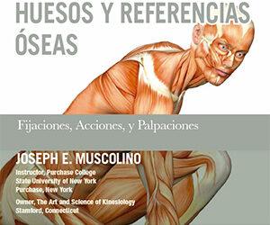 Atlas de músculos, huesos y referencias óseas